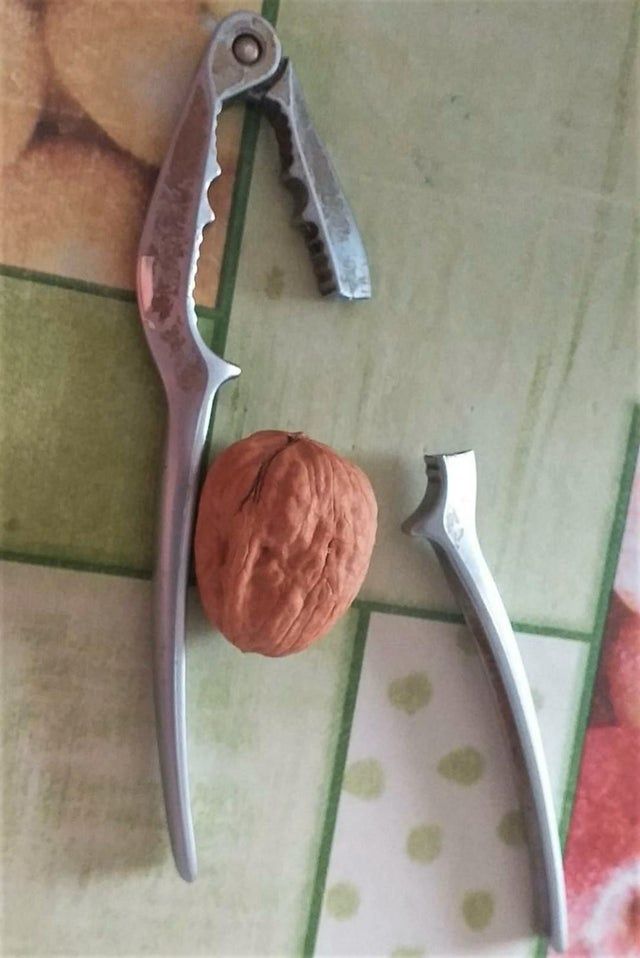 Nggak Berjalan Sesuai Rencana